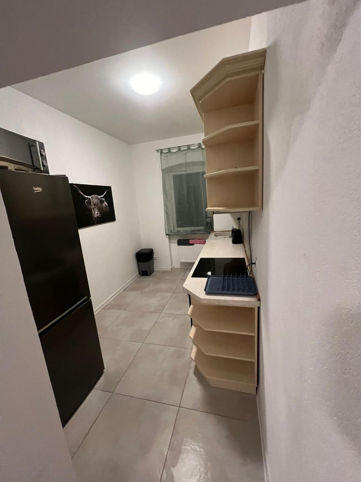 Ressel Mansion Apartment Bitterfeld-Wolfen Екстериор снимка